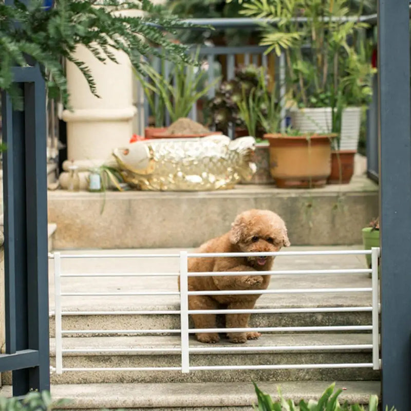 Portão de Segurança Expansível para Cães Pequenos em Metal.